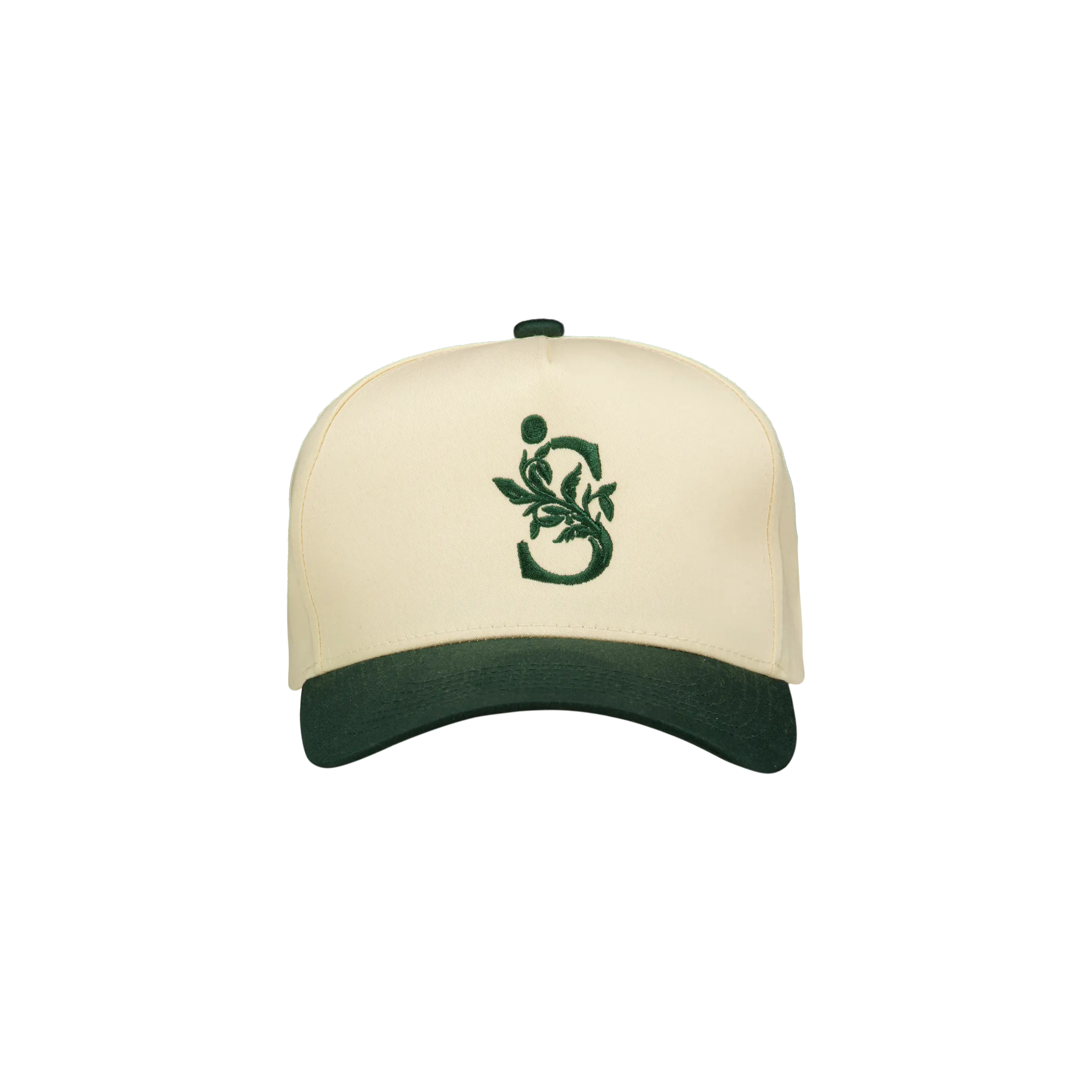 20th Anniversary Snapback