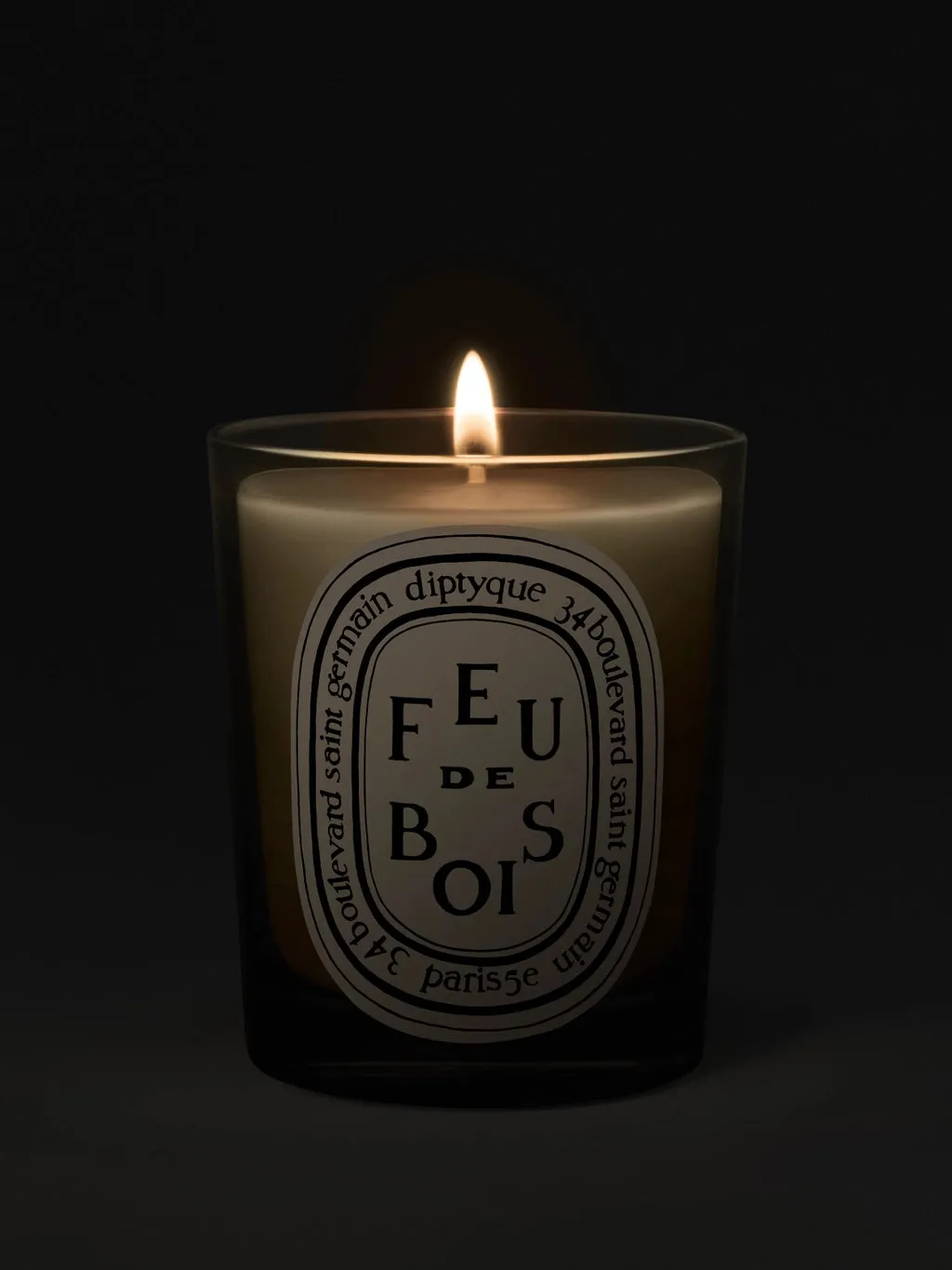 DIPTYQUE - Feu De Bois Classic Candle