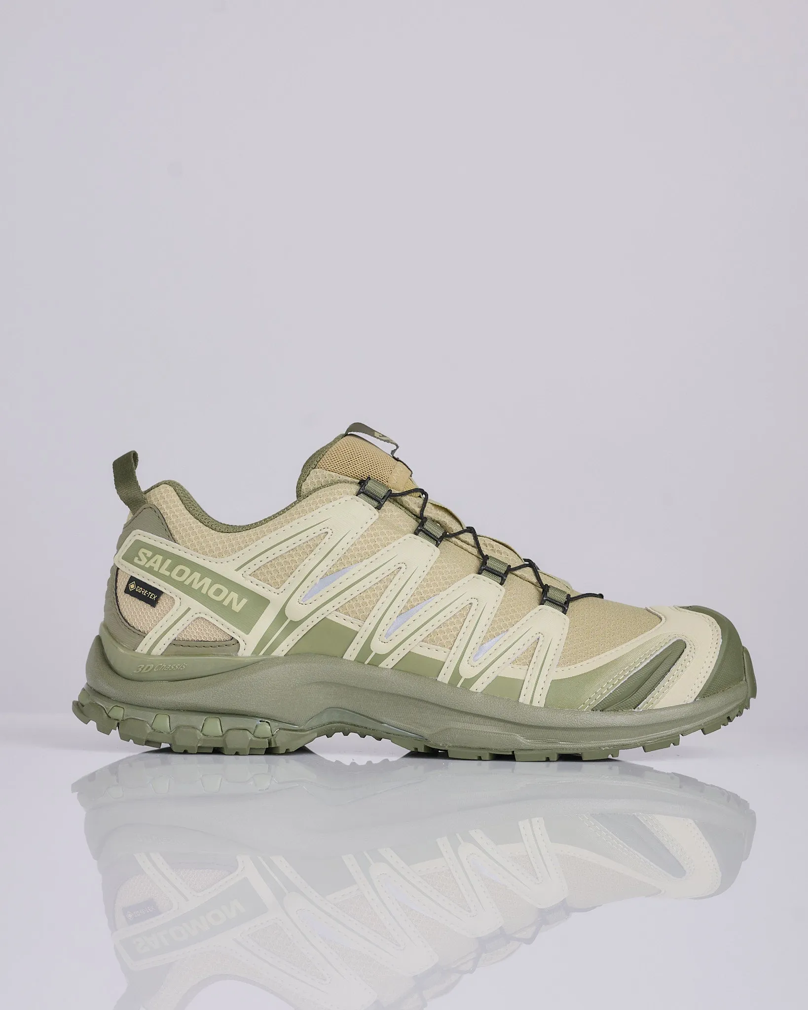 Salomon Advanced XA PRO 3D GTX Gray Green Alfalfa Deep Lichen Green